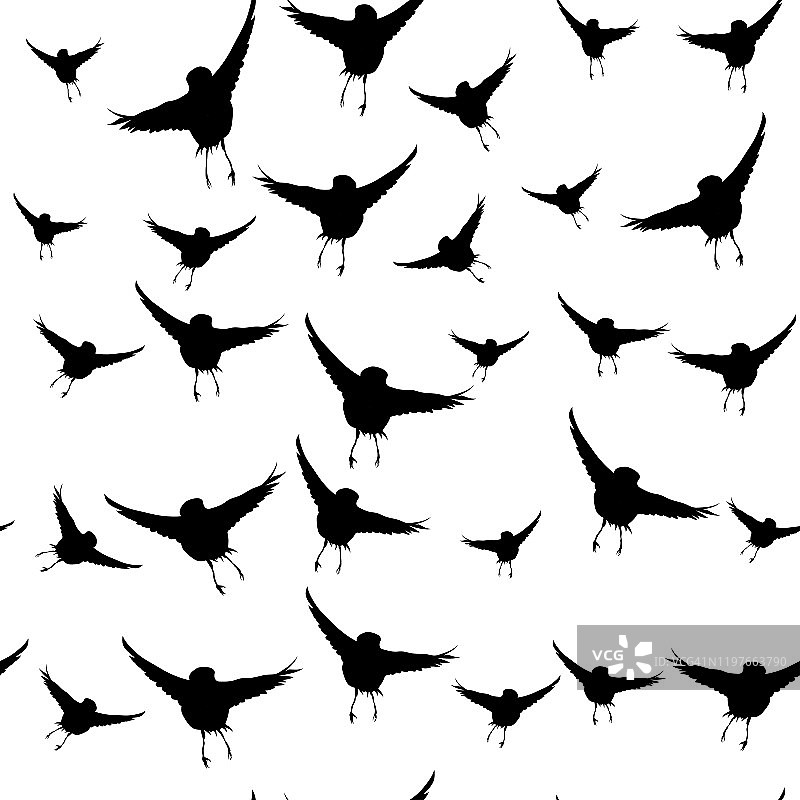 鸟类。无缝矢量模式图像。白色背景。图片素材