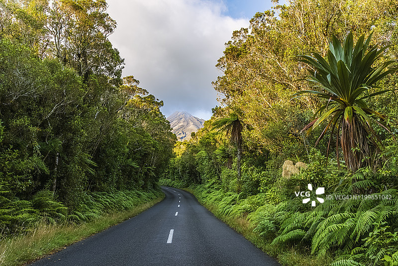 新西兰，空旷的高速公路穿过埃格蒙特国家公园的绿色森林图片素材