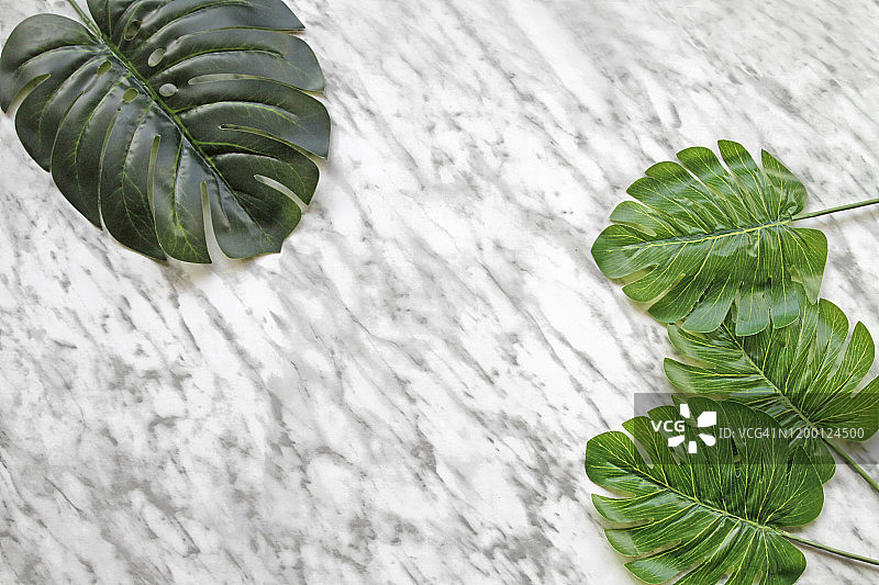 大理石背景上的热带绿叶图片素材