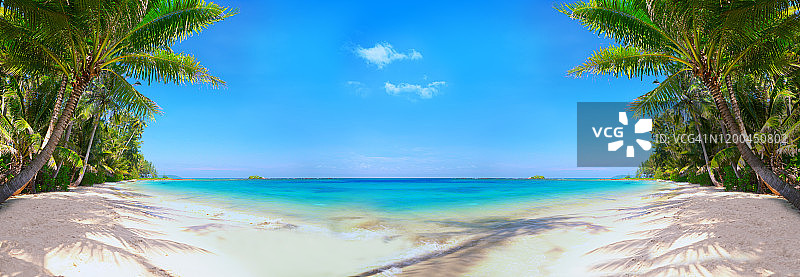 豪华热带海滩。棕榈树。假期。夏天。阳光明媚的图片素材