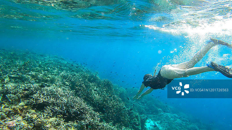 科莫多-一个女人浮潜在珊瑚礁上图片素材
