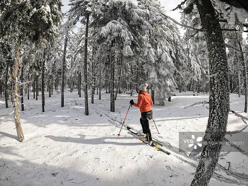 越野滑雪-女子与滑雪板在雪域森林滑雪道图片素材