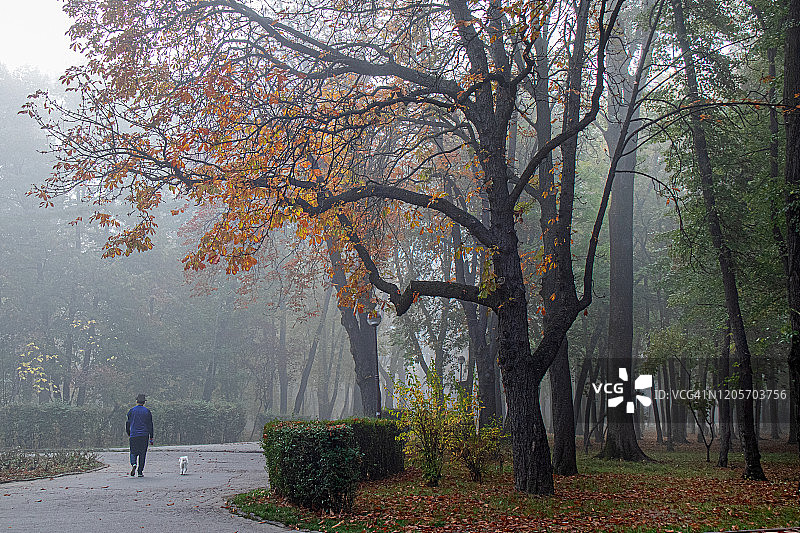 罗马尼亚布加勒斯特的公园，大雾天图片素材