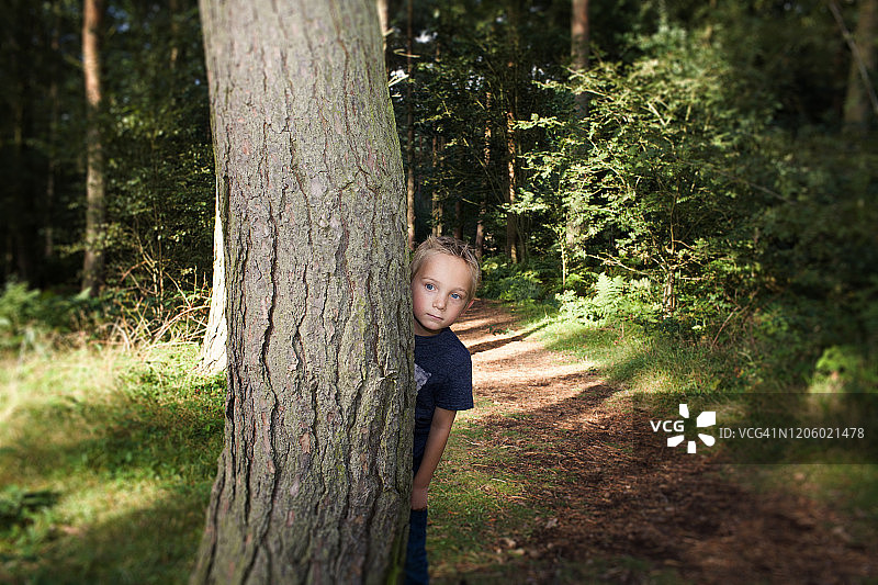 男孩躲在树后面图片素材