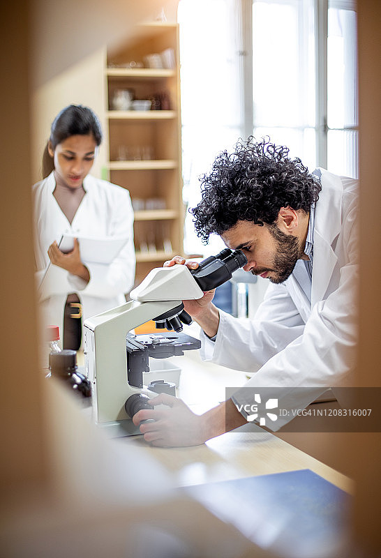 在实验室里通过显微镜观察的科学家图片素材