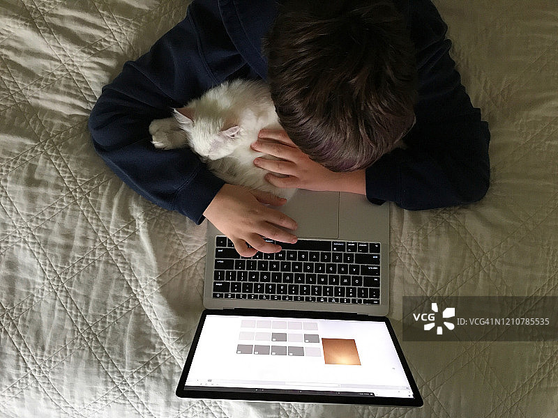从上往下看一个男孩依偎着他的小猫和使用笔记本电脑图片素材