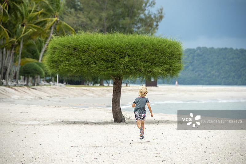 马来西亚兰卡威海滩上，一个男孩跑向一棵形状很酷的树图片素材