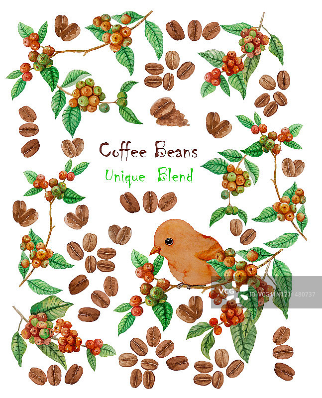 红色成熟的咖啡果实树枝，绿色的叶子，橙色的鸟和棕色的咖啡豆插图图案和文字“咖啡豆独特的混合”水彩手绘孤立的剪贴路径上的白色图片素材