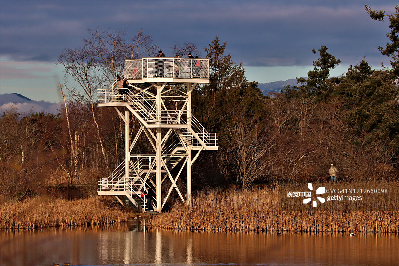 2019年12月，加拿大乔治c赖费尔鸟类保护区的观鸟塔上的人们图片素材