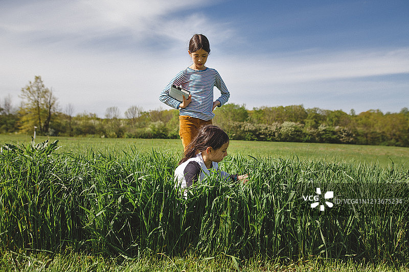 在一个美丽的春日，两个年轻的女孩在高高的草丛中玩耍图片素材