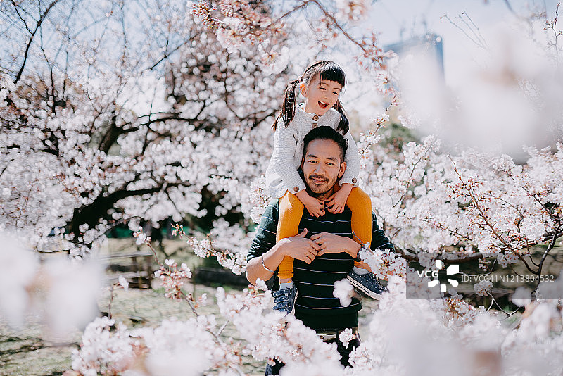 日本东京，父亲肩上扛着小女孩和樱花图片素材
