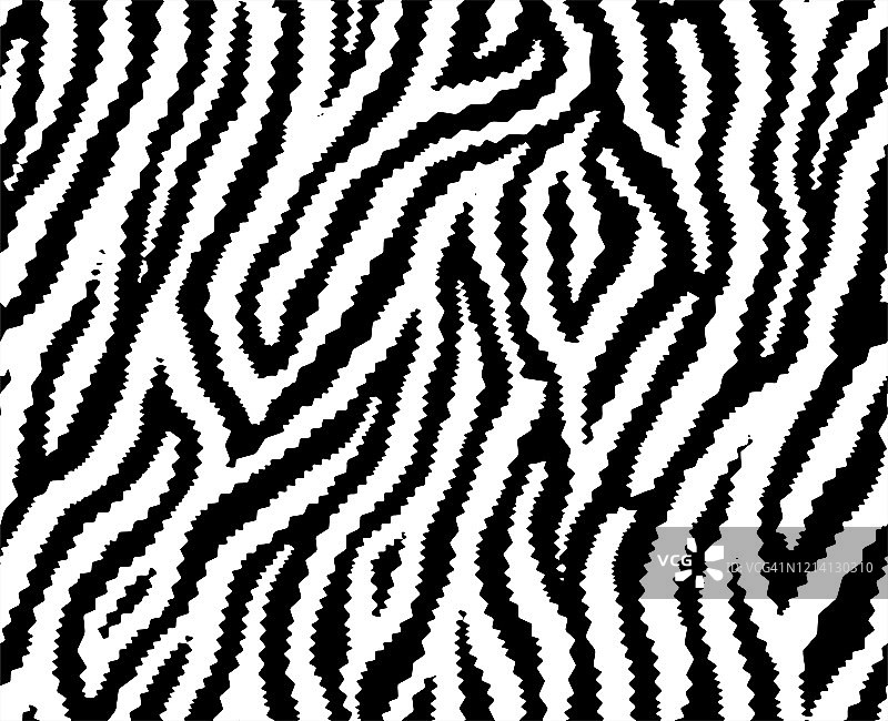全无缝壁纸斑马和老虎条纹动物皮肤图案。黑白设计用于纺织面料印花。时尚，家居设计适合。图片素材