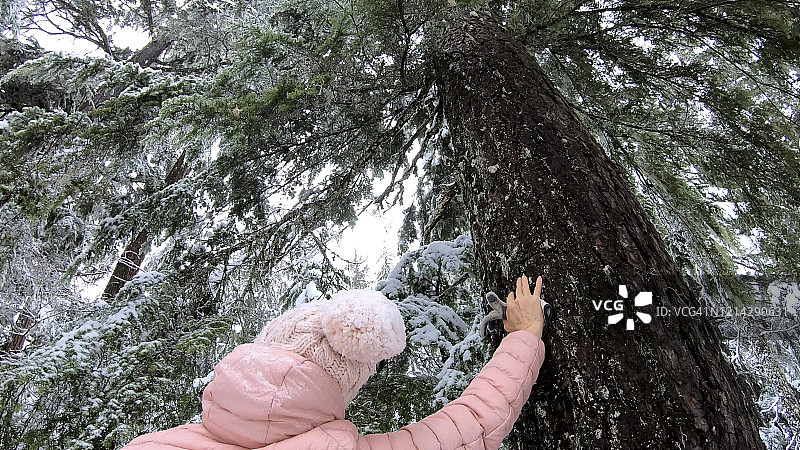 一名女性徒步旅行者站在白雪覆盖的森林里图片素材