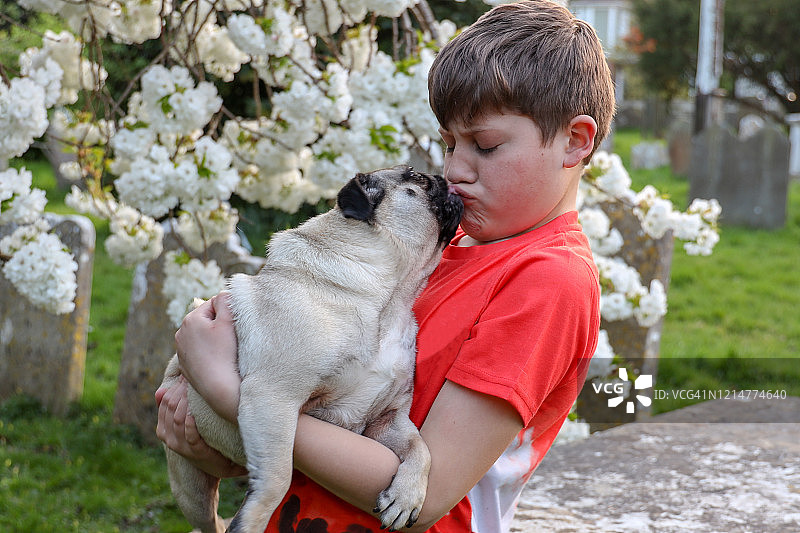 男孩抱着他的宠物哈巴狗图片素材