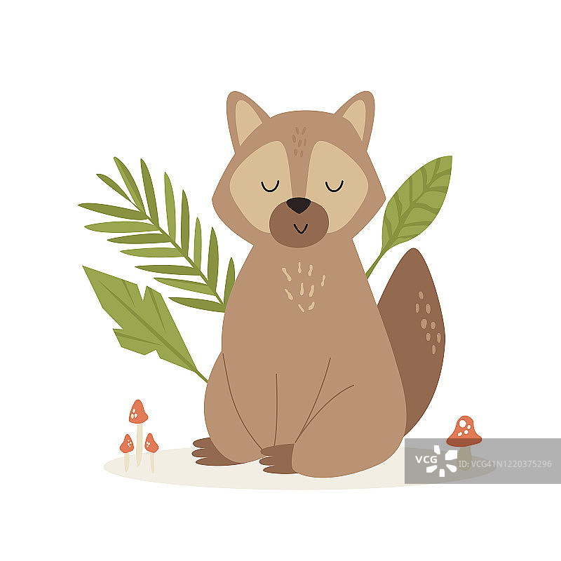 可爱有趣的浣熊坐在森林小路上图片素材