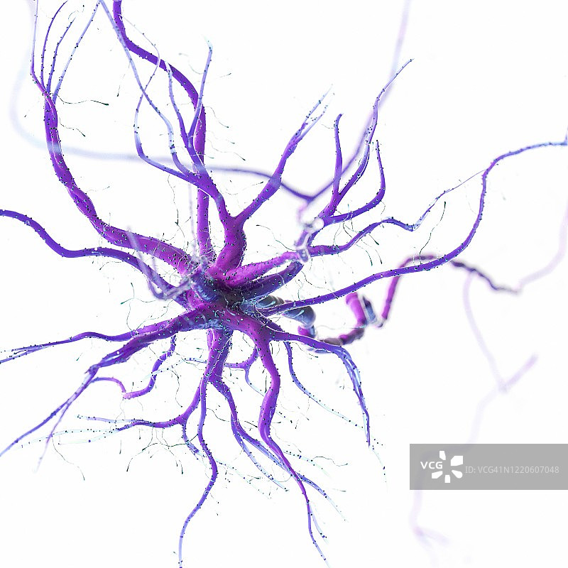 人类神经细胞，插图图片素材