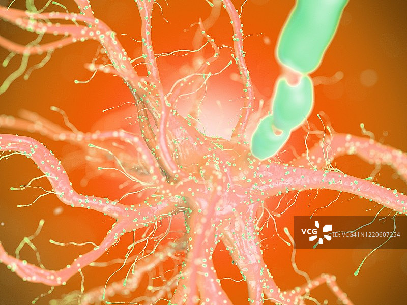 人类神经细胞，插图图片素材