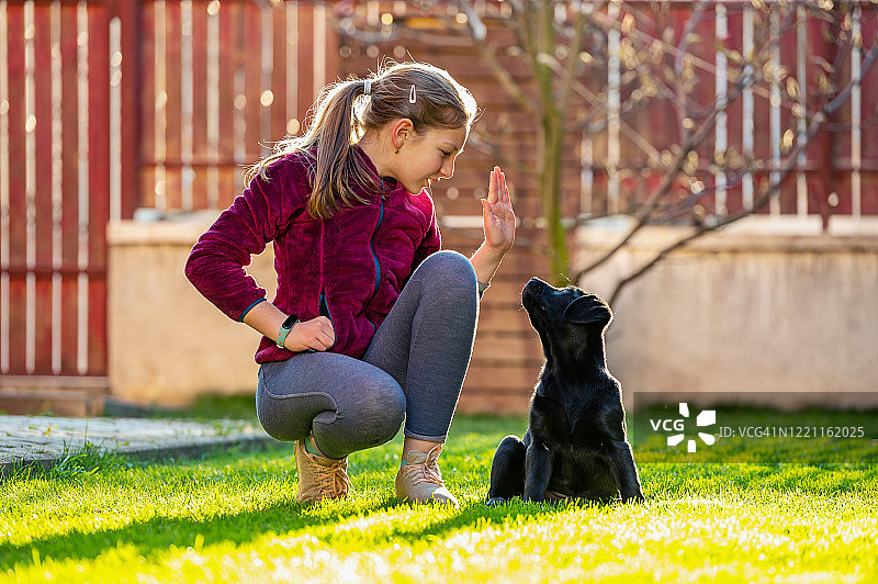 女孩在后院训练她的黑色拉布拉多小狗图片素材
