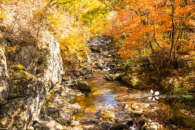 韩国江陵的Nochusan山的秋天景观图片素材