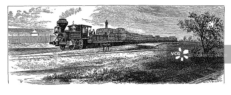 古老的雕刻插图棉花-在美国的种植和准备，满载棉花的火车-流行百科全书出版1894年图片素材