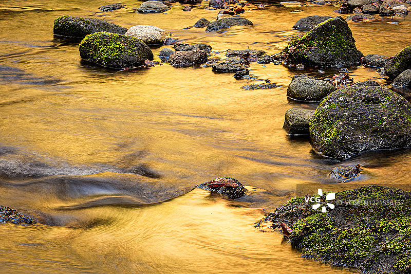 金色的河流图片素材