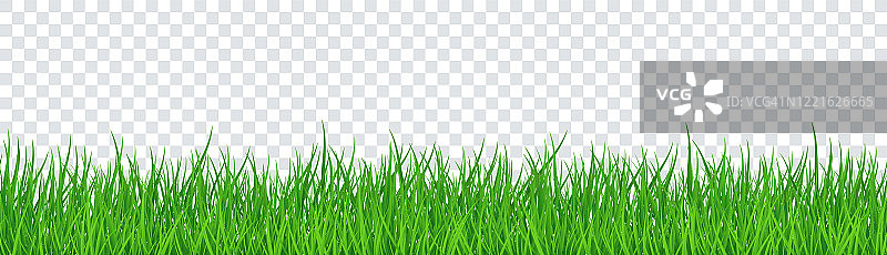 绿草孤立透明背景。矢量图图片素材