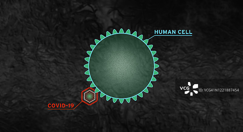 COVID-19病毒图片素材