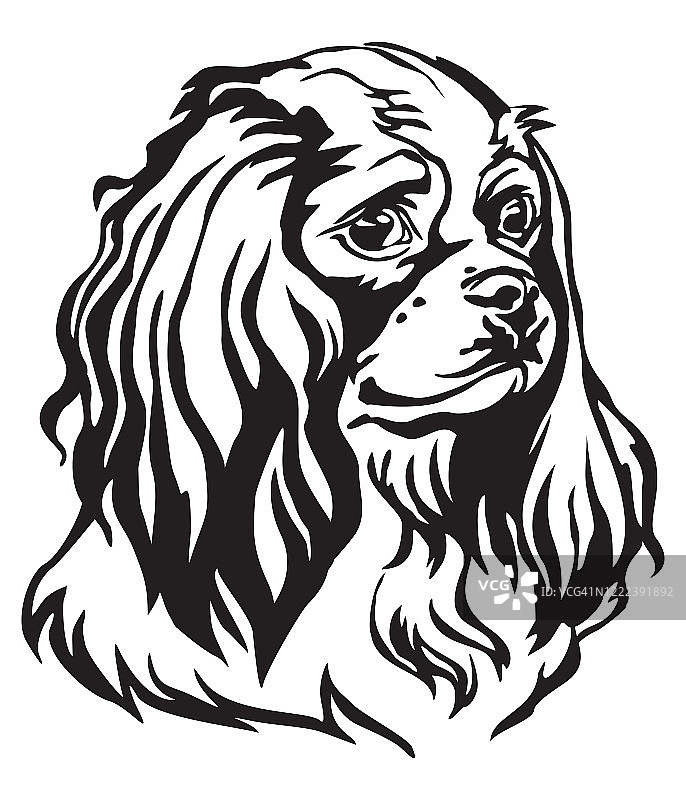 装饰肖像的狗骑士国王查尔斯猎犬矢量插图图片素材