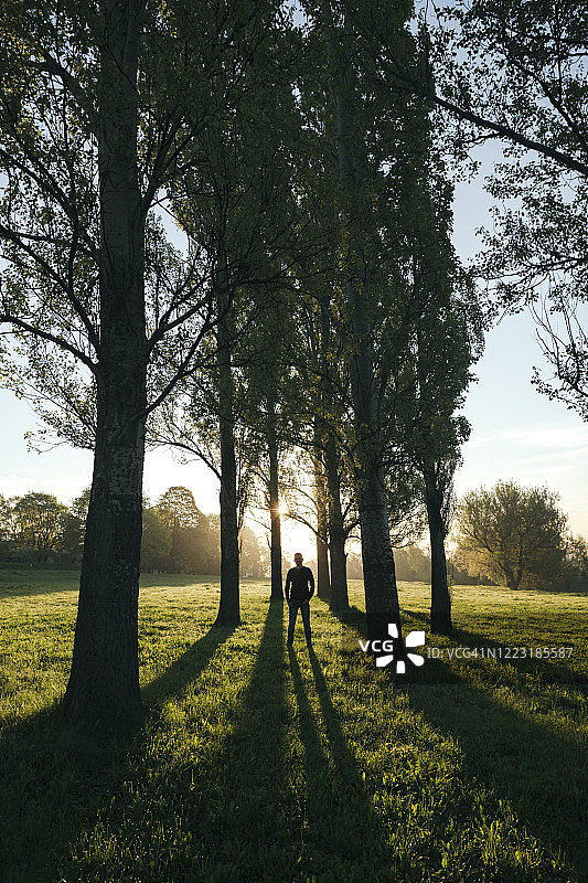 日出时，一个人站在公园树丛中的剪影图片素材