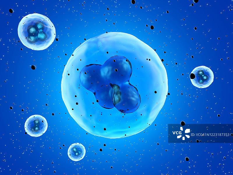 干细胞的三维渲染图片素材