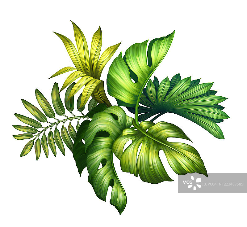 数字植物插图，热带棕榈叶五彩缤纷的花束，野生丛林叶排列，花卉设计孤立在白色背景图片素材
