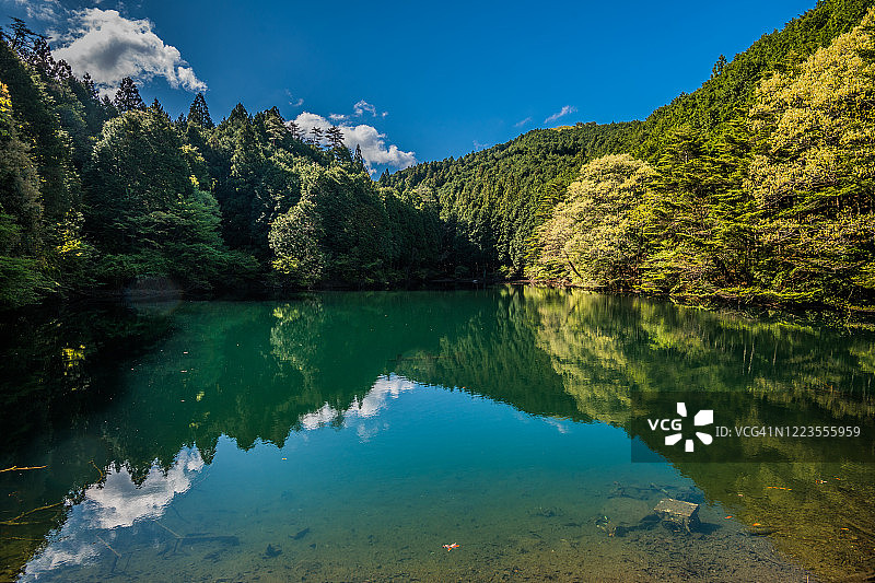 森林中的水镜。湛蓝的天空和绿色的森林倒映在湖面上图片素材