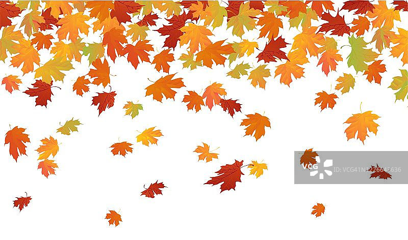 橡树和枫叶在秋天纷纷落下图片素材