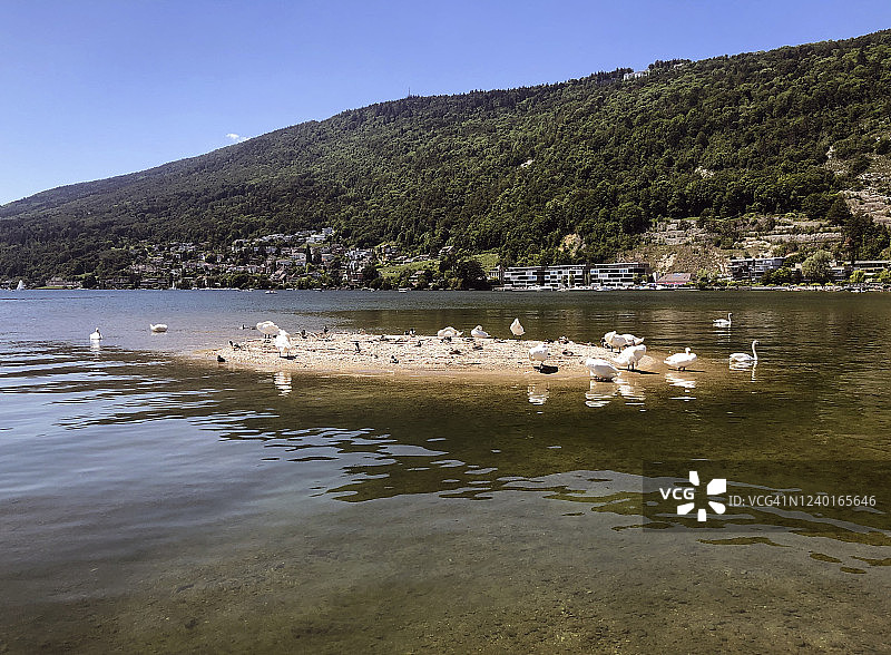 贝尔湖，伯尔尼州，瑞士图片素材
