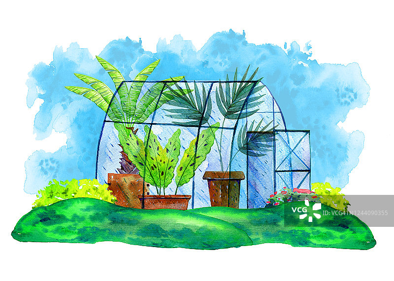 室内有棕榈树的温室景观。手绘水彩素描插图图片素材