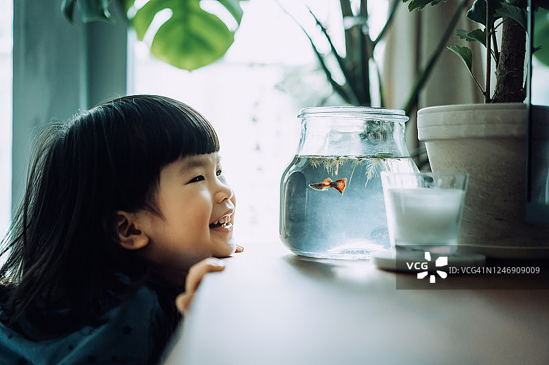 可爱的亚洲小女孩看着鱼缸，开心地笑在家里图片素材