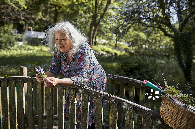 老妇人手捧鲜花站在花园人行桥上图片素材