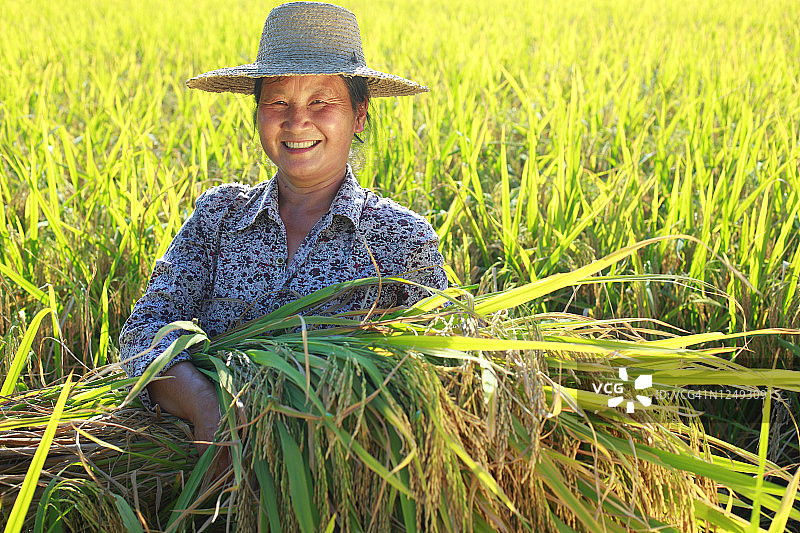 快乐的亚洲农民拿着大米图片素材