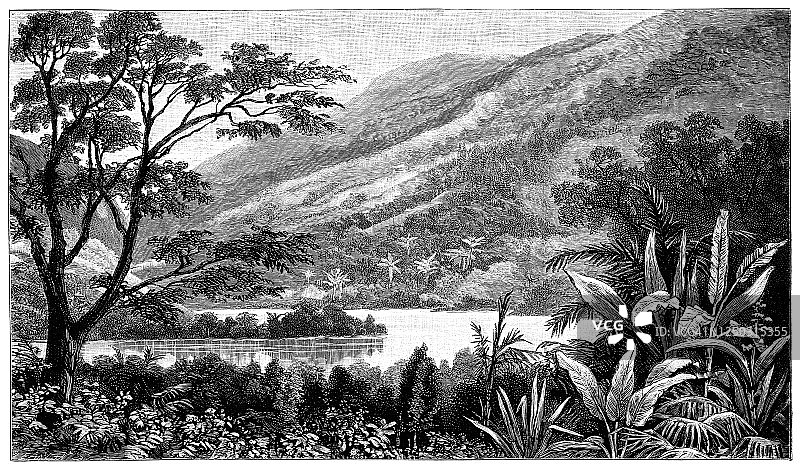 加勒比地区的多米尼加风景——19世纪图片素材