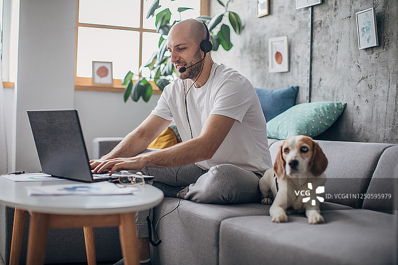 一个人在家里用笔记本电脑工作，他的宠物狗在他旁边的沙发上图片素材