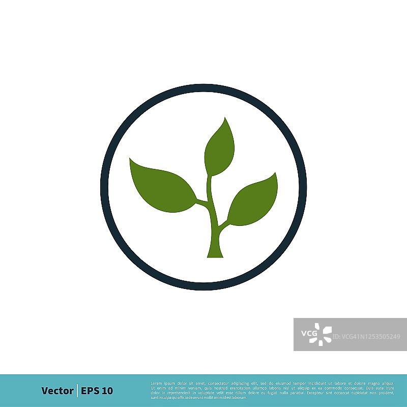 叶子，生长植物图标向量标志模板插图设计。向量EPS 10。图片素材