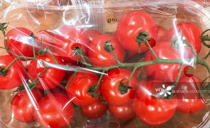 多汁红番茄背景图片素材