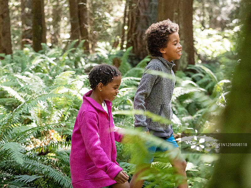 哥哥和妹妹在树林里散步图片素材