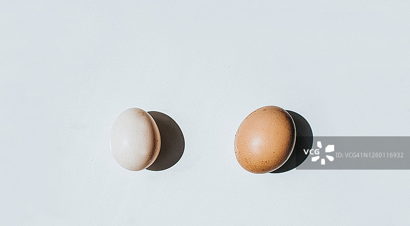 一个鸭蛋和一个鸡蛋并排比较的概念图像图片素材