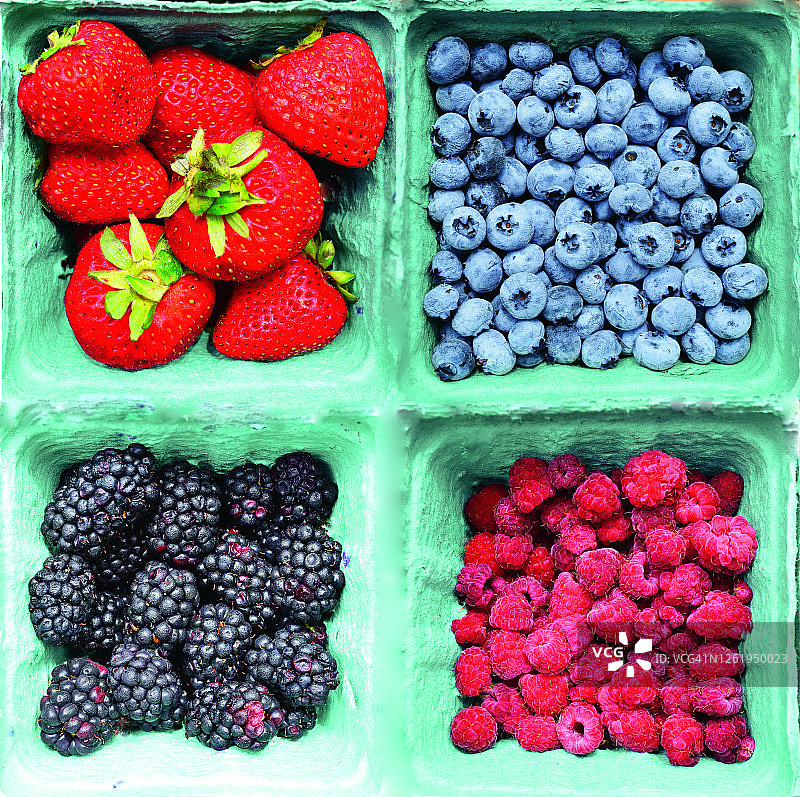 草莓、蓝莓、黑莓和覆盆子图片素材