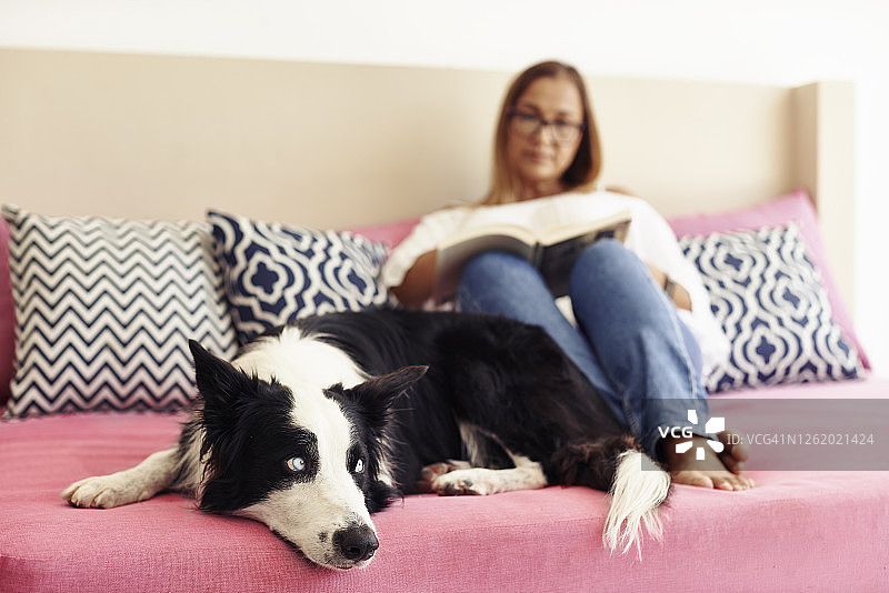 一个女人坐在床上和她的狗一起读书图片素材