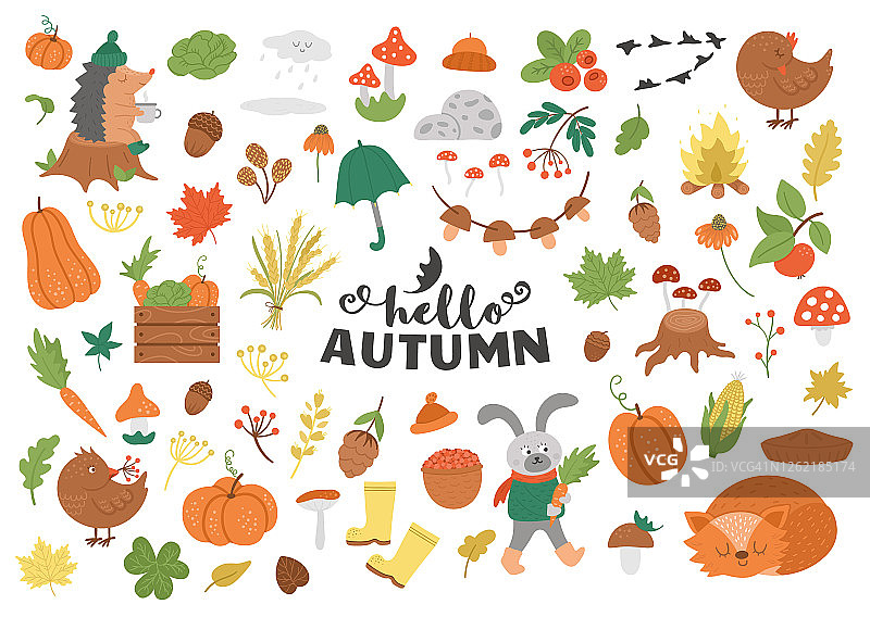 大的向量秋季剪贴画集。可爱的秋季图标包的印花，贴纸。有趣的插画森林动物，南瓜，蘑菇，树叶，天气元素，收获，蔬菜，鸟类图片素材