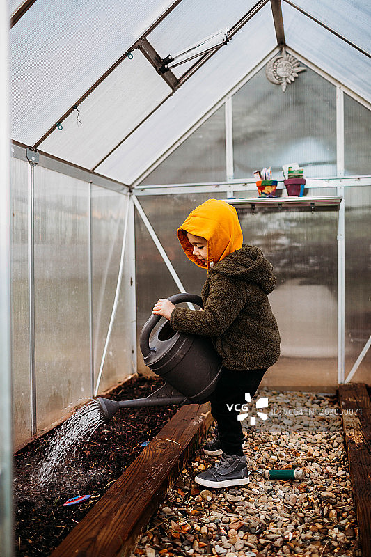 小男孩在后院的温室里浇水图片素材