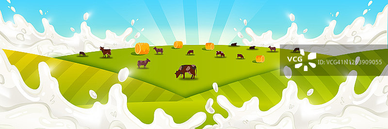 牛奶农场景观放牧的牲畜，绿色的田野，干草堆，蓝天，阳光。图片素材