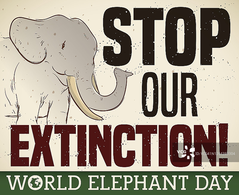 在世界大象日，大象担心大象会灭绝图片素材